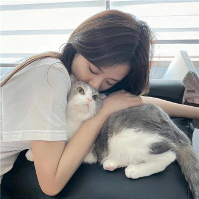 如何与我的猫分手